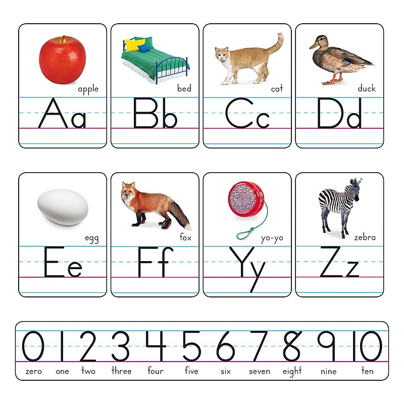 Trend Enterprises Photo Alphabet Cards Zaner-Bloser Manuscript Bulletin Board Set, 29 pieces (T-721) image 1