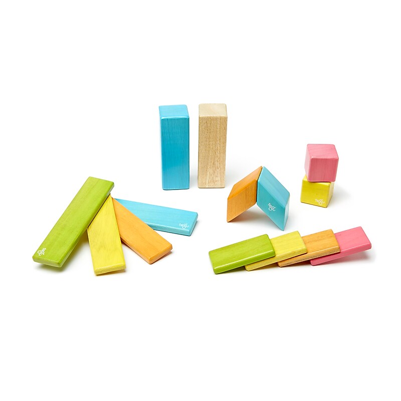 Tegu Wooden Tints Set, Assorted, 14 Pieces (TEG14PTNT306T) image 1