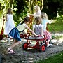 Winther Twin Taxi Tricycle, Red (WIN468)~#|#~m007144586_sc7