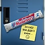 3 MUSKETEERS Chocolate Sharing Size Candy Bars 3.28 oz Bar, 24/Box (MMM24603)~#|#~m007160763_sc7