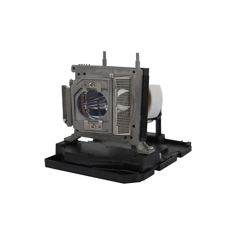 BTI Projector Lamp (20-01032-20-OE) image 1