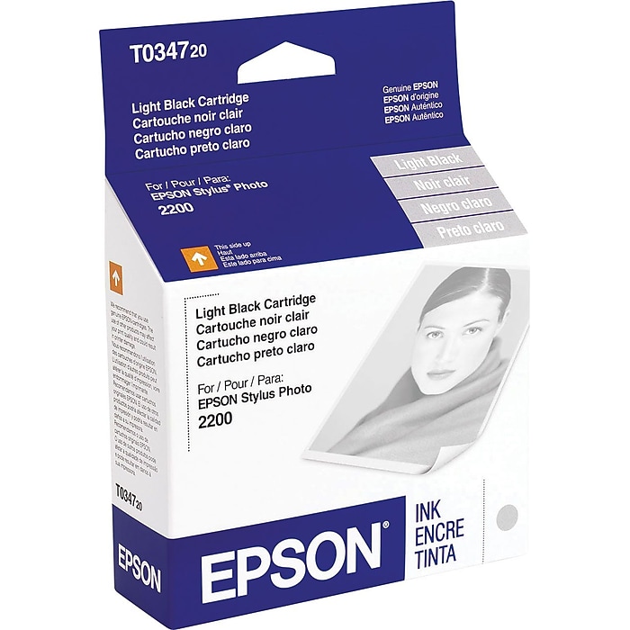 Epson T034 Light Black Standard Yield Ink Cartridge | Staples