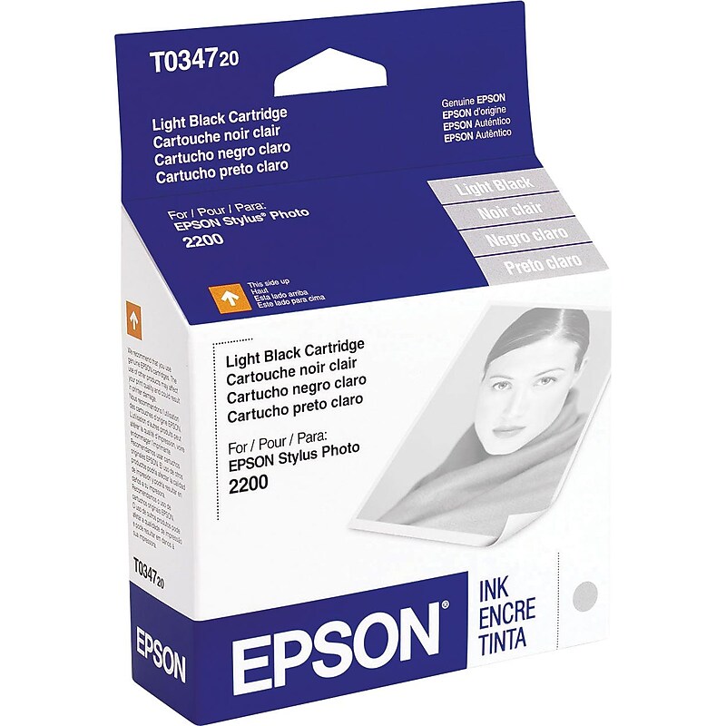 Epson T034 Light Black Standard Yield Ink Cartridge image 1