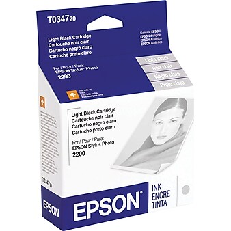 Epson T034 Light Black Standard Yield Ink Cartridge