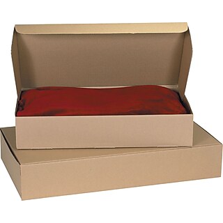 15 1/8 X 11 1/8 X 3" White Deluxe Literature Mailers – Samuel Packaging Store