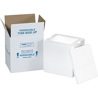 19" x 12" x 12.5" Insulated Shipping Containers, 1.5" Thick (261C)