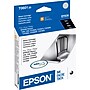 Epson T60 Black Standard Yield Ink Cartridge   (T060120)~#|#~s0107468_sc7