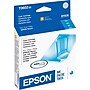 Epson T60 Cyan Standard Yield Ink Cartridge~#|#~s0108803_sc7