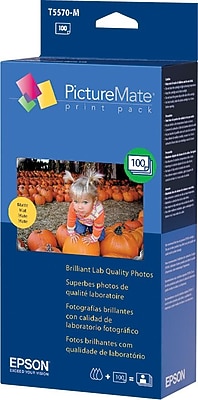 epson t557 ink cartridge