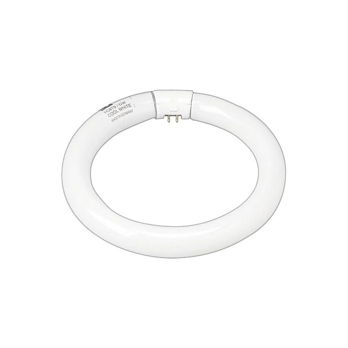 GE 22 Watt Cool White 8