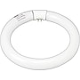 GE 22 Watt Cool White 8" Diameter T-9 Circline Fluorescent Tube (33774)~#|#~s0144816_sc7