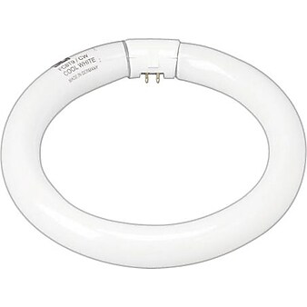 22 Watt GE 8" Diameter T-9 Circline Fluorescent Tube, Cool White