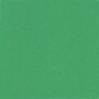 Pacon Colored 4-Ply Poster/Railroad Board, Holiday Green, 22" x 28", 25/Carton (PAC54661)~#|#~s0146579_sc7