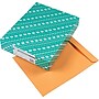 Quality Park Gummed Catalog Envelope, 12" x 15 1/2", Light Kraft, 100/Box (41967)~#|#~s0171332_sc7