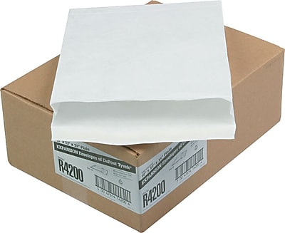 Quality Park R1330 - Buste aperte in Tyvek, di prima classe, 6 x 9, colore: bianco, confezione da 100