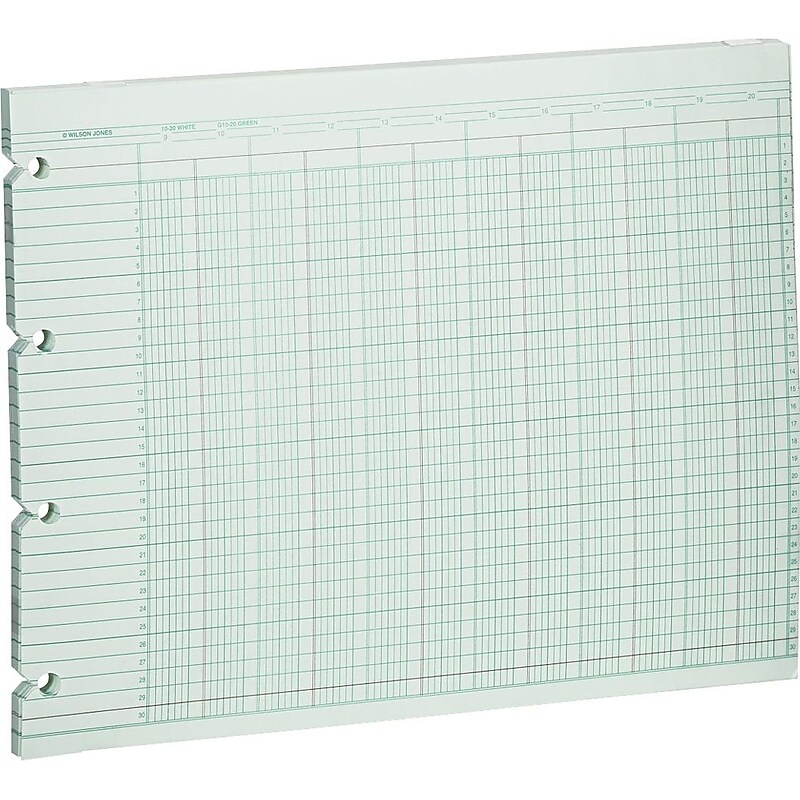 Wilson Jones Columnar Sheets, Ledger Paper, Ruled, 30 Lines, 20 Columns, Green Paper, 9 1/4" x 11 7/8", 100/Pk image 1