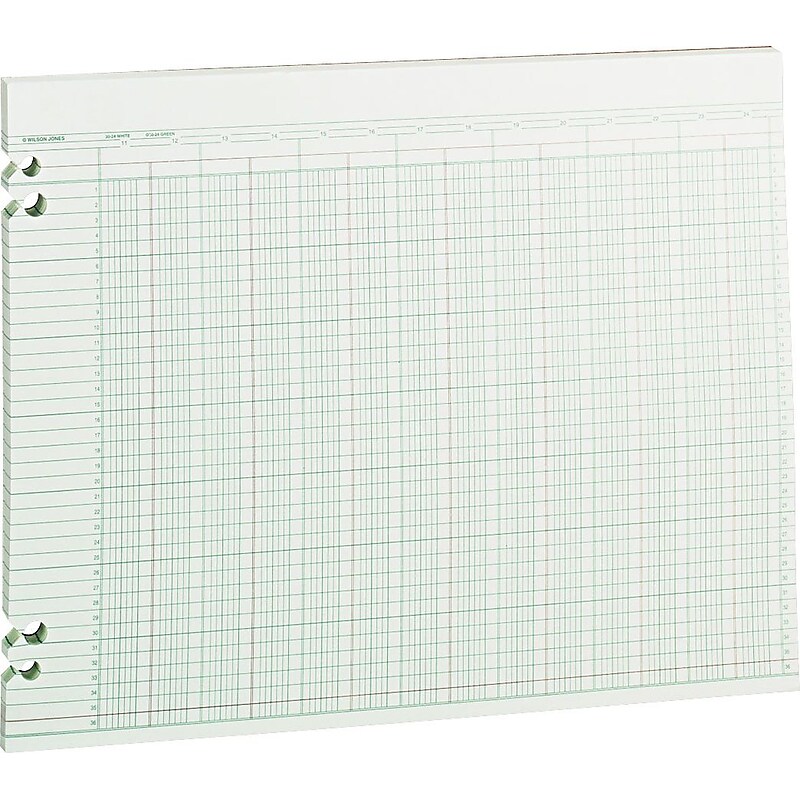 Wilson Jones Ledger Paper, 24 Columns, 11" x 14", Green, 100 Sheets (WLJG3024) image 1