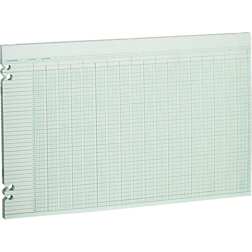 Wilson Jones Columnar Ruled Sheets, 30 Columns, 11" x 17", Green, 100