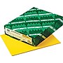Astrobrights 8.5" x 11" Color Copy Paper, 24 lbs., Solar Yellow, 500/Ream (22531)~#|#~s0190697_sc7