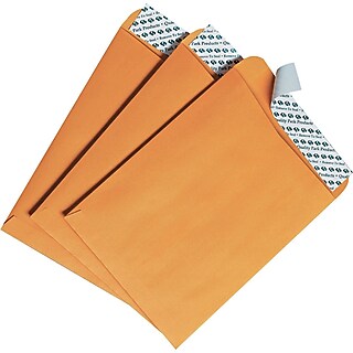 Staples EasyClose Catalog Envelopes – 10" X 13", Brown, 100 Per Box
