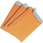 Quality Park Redi-Strip Self Seal Catalog Envelope, 6" x 9", Kraft, 100/Box (44162)