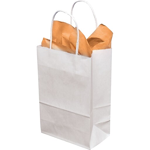 Small White Kraft Paper Shopping Bags - Case of 250