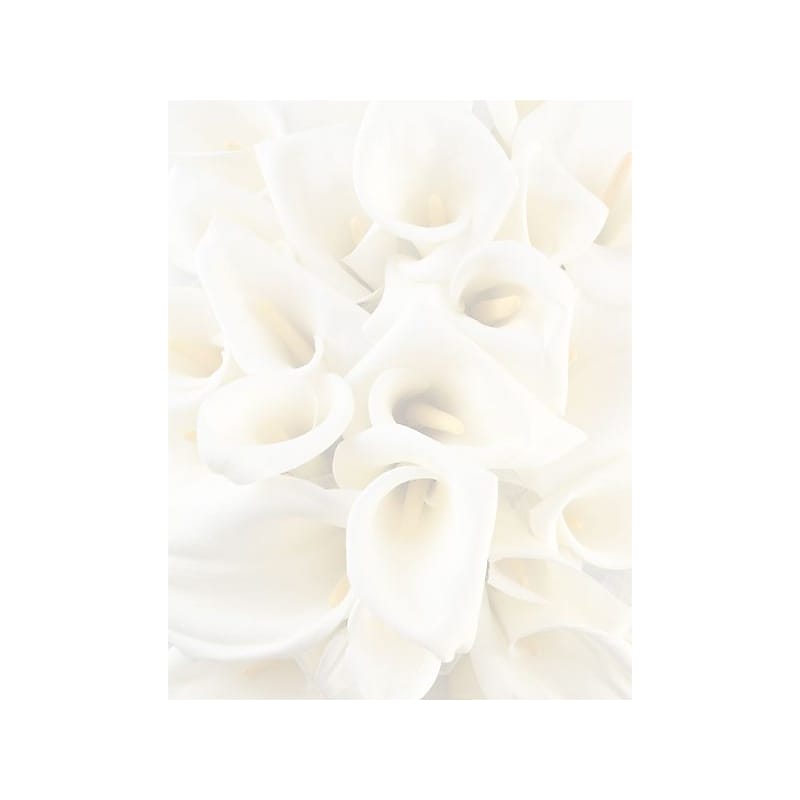 Great Papers® White Calla Lilies Letterhead 80 count image 1