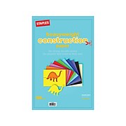 Staples Heavyweight Construction Paper 12"H x 18"W, Assorted Color, 100/Pack (23109)