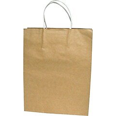 Cosco Large Premium Paper Shopping Bag, 17