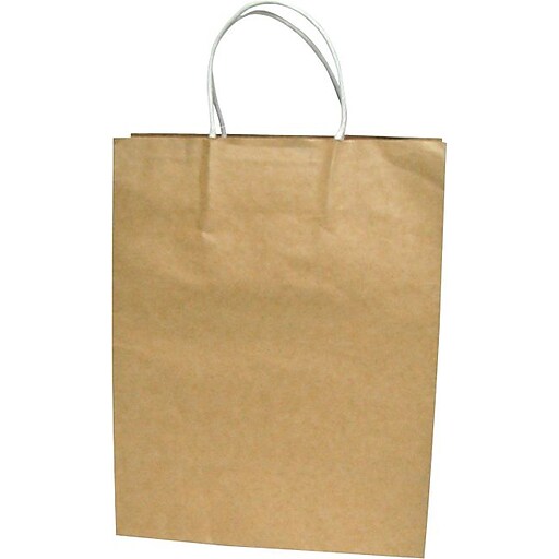 Cosco Large Premium Paper Shopping Bag, 17