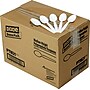 Dixie Plastic Teaspoon, 5-1/2" Medium-Weight, White, 1000/Carton (PTM21)~#|#~s0301016_sc7