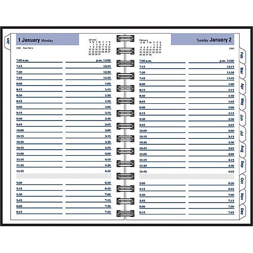 Shop Staples for AtAGlance Dayminder® Daily Desk Appointment Book