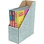 Bankers Box Tresllis Magazine File Storage, Assorted, 2/Pack (6170801)~#|#~s0337029_sc7