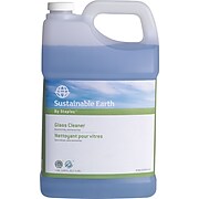 Sustainable Earth by Staples® Glass Cleaner Refill, Ready To Use, 1 Gallon (SEB611001-A)