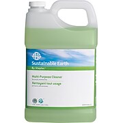 Sustainable Earth by Staples® All Purpose Cleaner Refill, Ready To Use, 1 Gallon (SEB641001-A-CC)