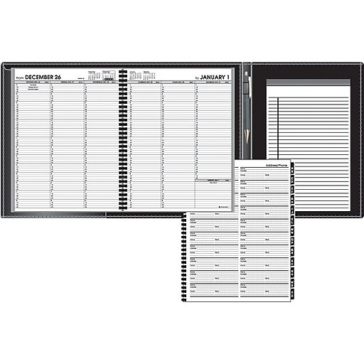 Shop Staples for ATAGLANCE Appointment Book...Plus, Professional