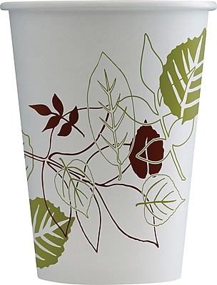 Dixie Pathways Polycoated Paper Cold Cups 12oz 100/Pack 12FPPATHPK 