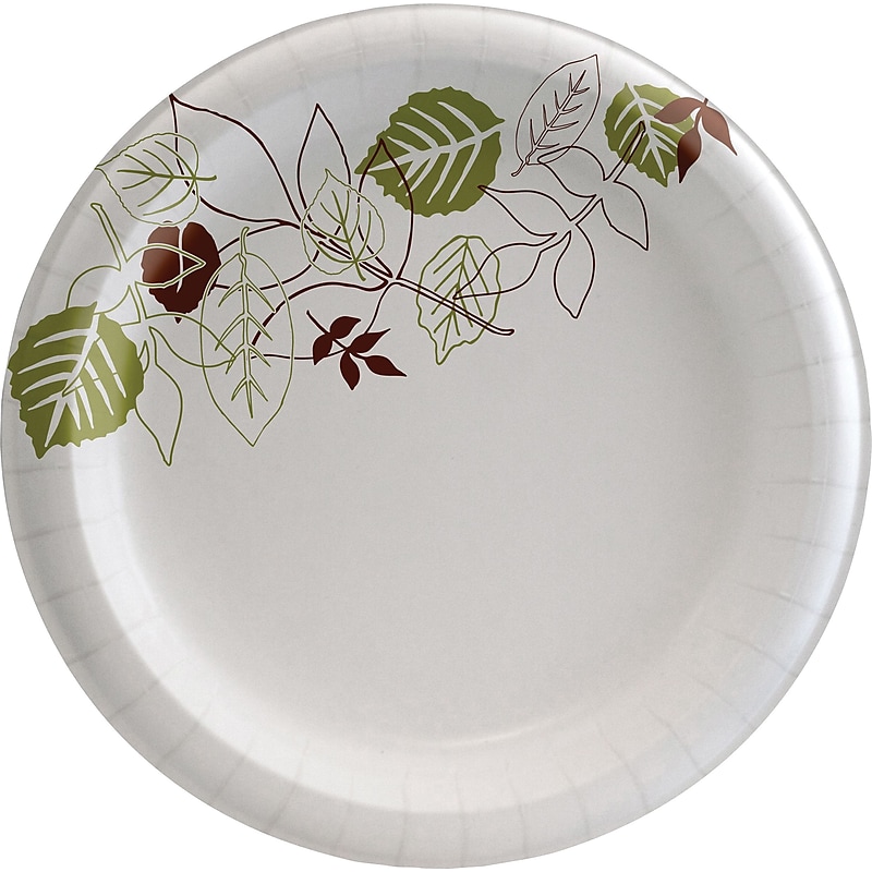 Dixie Pathways Medium-Weight Paper Plates, 8.5", 125/Pack (DXEUX9WSPack) image 1