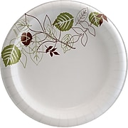 Dixie Pathways Medium-Weight Paper Plates, 8.5", 125/Pack (DXEUX9WSPack)