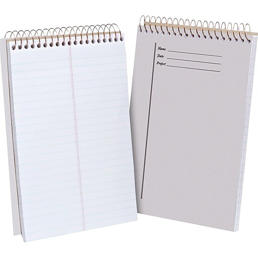 Ampad® Clear Steno Pad, 6" x 9", 100 Sheets/Pad (20524) at Staples