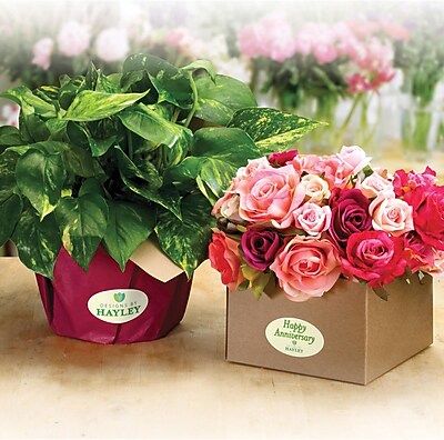 custom labels staples