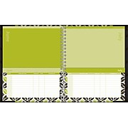 Day Runner Home Finances 9" x 11" Calendar Year Monthly Planner, Multicolor (854-431)