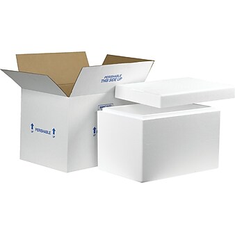 19" x 12" x 12.5" Insulated Shipping Containers, 1.5" Thick (261C)