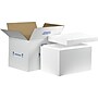 19" x 12" x 12.5" Insulated Shipping Container, 32 ECT, White (261C)~#|#~s0446113_sc7