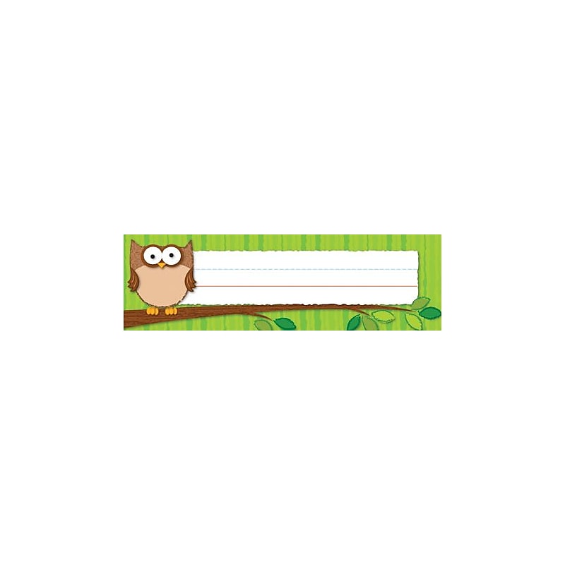 Carson-Dellosa Owls Nameplates image 1