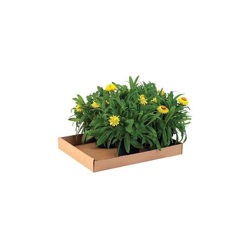 15" x 12" x 1.75" Corrugated Trays, 32 ECT, Brown, 50/Bundle (15122CT) image 1