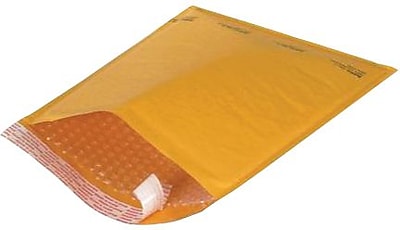 Coastwide Professional CW56619 9.13 x 13.25 in. Self-Sealing Bubble Mailer  Kraft - 100 per Case
