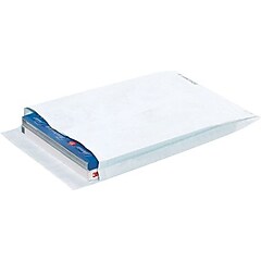 Tyvek Self Seal Catalog Envelopes, 9
