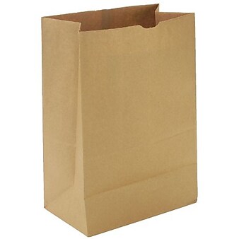 Kraft Brown Paper Grocery Bags, 1/6 57#, 500/Bundle
