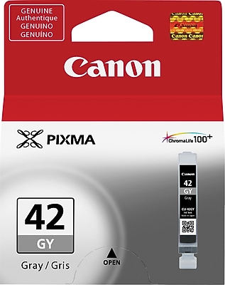 Canon 42 Gray Standard Yield Ink Cartridge (6390B002) Sansujyuku sansujyuku.com